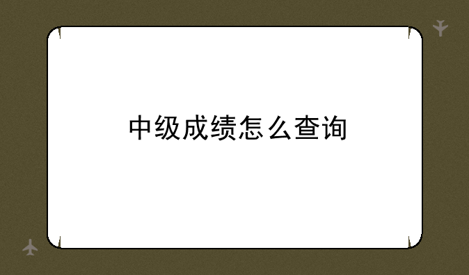 中级成绩怎么查询