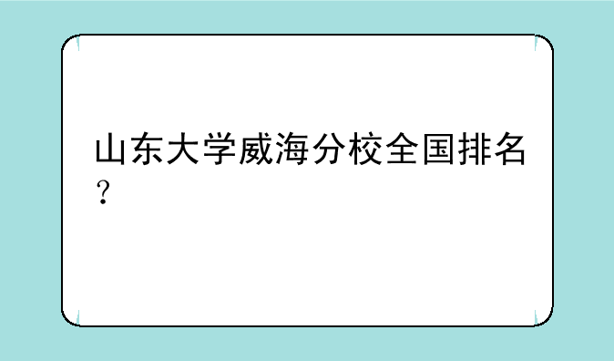 山东大学威海分校全国排名？