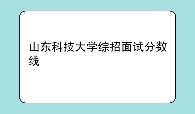 山东科技大学综招面试分数线