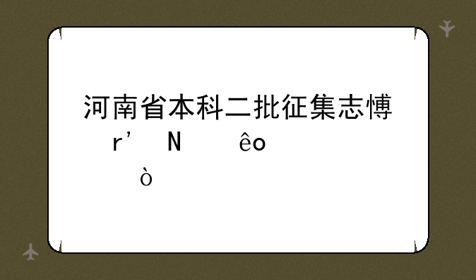 河南省本科二批征集志愿有哪些学校？